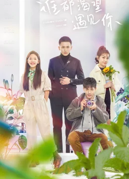 Xem Phim Ai Cũng Khao Khát Gặp Được Em Vietsub HD Online