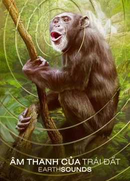 Xem Phim Âm Thanh Của Trái Đất – Earthsounds Vietsub HD Online