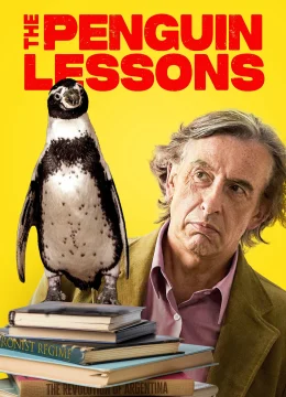 Bài Học Từ Chú Chim Cánh Cụt