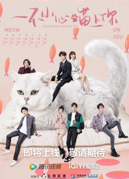 Xem Phim Bất Cẩn Meow Phải Anh Vietsub HD Online
