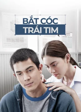 Xem Phim Bắt Cóc Trái Tim Vietsub HD Online