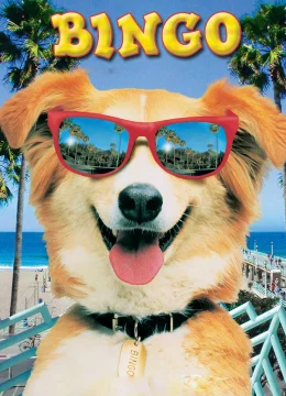 Xem Phim Bingo Vietsub HD Online