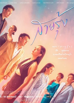 Cầu Vồng Trở Lại