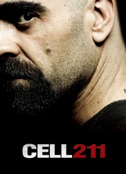 Cell 211