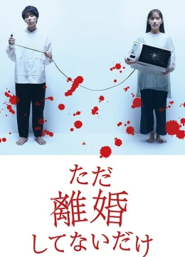 Xem Phim Chỉ Là Không Ly Hôn Vietsub HD Online