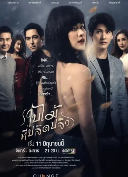 Xem Phim Chiếc Lá Cuốn Bay Vietsub HD Online