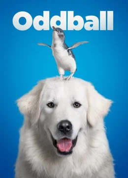 Chú Chó OddBall