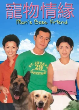 Chú Chó Thông Minh