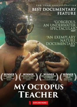 Xem Phim Cô giáo bạch tuộc Vietsub HD Online