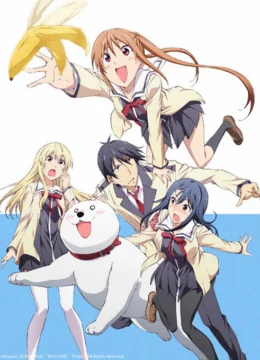 Xem Phim Cô Nàng Ngốc – Aho Girl Vietsub HD Online
