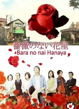 Cửa Hàng Hoa Không Có Hoa Hồng