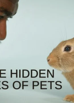 Xem Phim Cuộc sống bí mật của thú cưng Vietsub HD Online