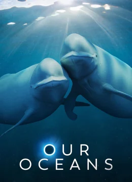 Xem Phim Đại dương của chúng ta Vietsub HD Online