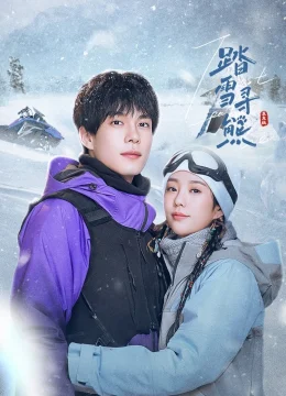 Đạp Tuyết Tầm Hùng