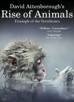 Xem Phim David Attenborough’s Rise of Animals: Triumph of the Vertebrates Vietsub HD Online