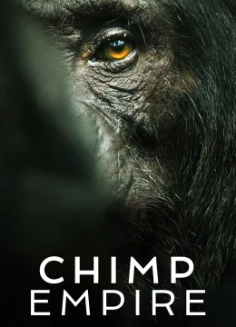 Đế chế tinh tinh