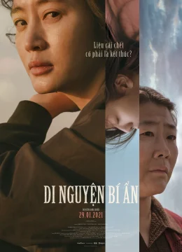 Di Nguyện Bí Ẩn