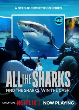 Xem Phim Đi tìm cá mập Vietsub HD Online