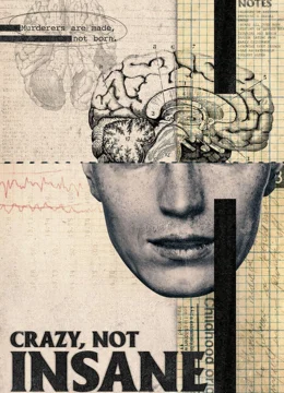 Xem Phim Điên, Không Mất Trí Vietsub HD Online