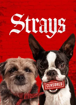 Xem Phim Đời Quá Chó (Những Chú Chó Bụi Đời) Vietsub HD Online