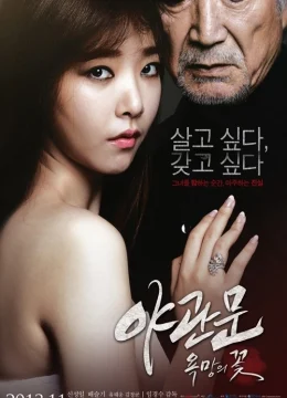 Xem Phim Door to the Night Vietsub HD Online