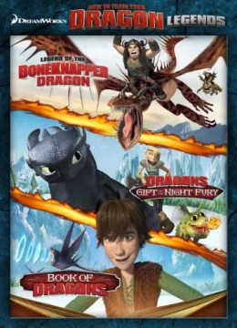 Xem Phim DreamWorks: Huyền thoại bí kíp luyện rồng Vietsub HD Online