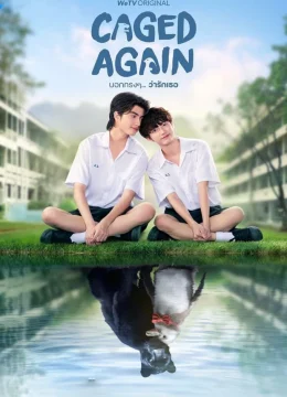 Xem Phim Dũng Cảm Nói Yêu Người Vietsub HD Online