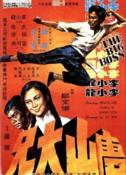 Xem Phim Đường Sơn Đại Huynh Vietsub HD Online