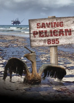 Xem Phim Giải Cứu Chú Bồ Nông Thứ 895 Vietsub HD Online