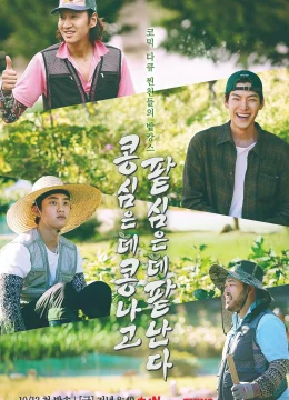 Gieo Gì Gặt Nấy