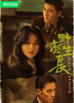 Gió Thổi Bán Hạ (Dã Man Sinh Trưởng)