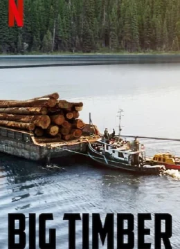 Gỗ lớn (Phần 2)