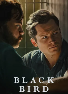 Hắc Điểu (Phần 1)