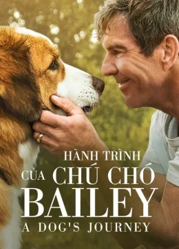 Hành Trình Của Chú Chó Bailey