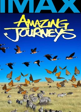 Xem Phim Hành Trình Kinh Ngạc Vietsub HD Online