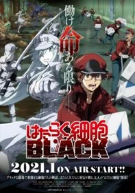 Xem Phim Hataraku Saibou Black Vietsub HD Online