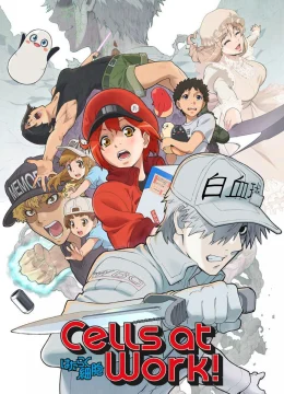 Khi các tế bào làm việc