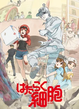 Khi Các Tế Bào Làm Việc (Phần 1)