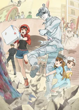 Khi các tế bào làm việc trong cơ thể