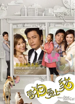 Xem Phim Khi Chó Yêu Mèo Vietsub HD Online