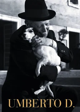 Xem Phim Khốn Quẫn Vietsub HD Online