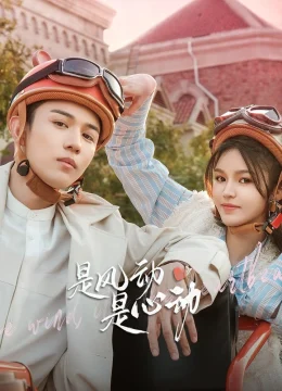 Xem Phim Là Gió Lay Hay Tim Rung Động Vietsub HD Online