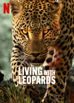 Xem Phim Living with Leopards Vietsub HD Online