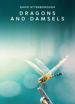 Xem Phim Loài Chuồn Chuồn Vietsub HD Online