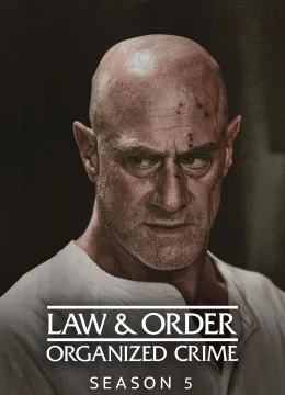 Xem Phim Luật Pháp Và Trật Tự: Tội Phạm Có Tổ Chức (Phần 5) Vietsub HD Online