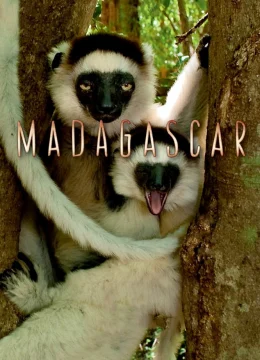 Madagascar 2011
