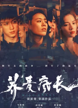 Xem Phim Mùa Hoa Kiều Mạch Vietsub HD Online