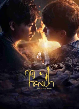 Xem Phim Mùa Lạc Trong Rừng Vietsub HD Online