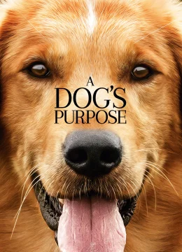 Mục Đích Sống Của Một Chú Chó