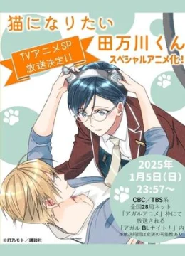 Xem Phim Neko ni Naritai Tamagawa-kun Vietsub HD Online